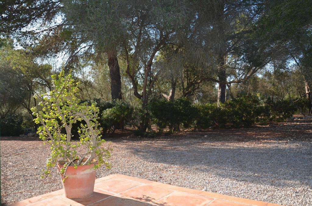 Finca Son Blat Porto Cristo Exterior foto