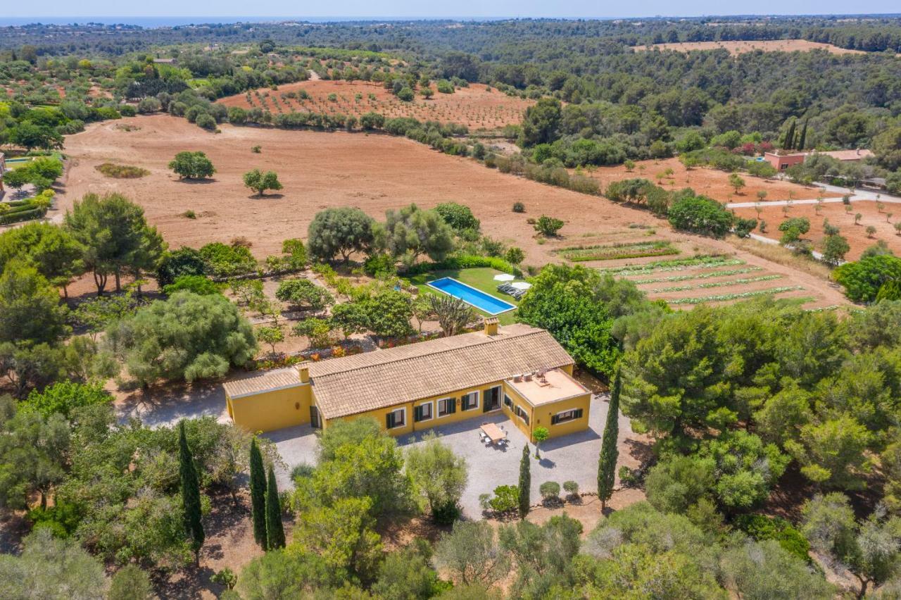 Finca Son Blat Porto Cristo Exterior foto